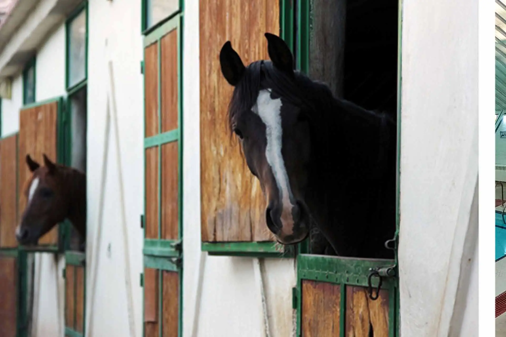 سوارکاری دهکده ورزشی