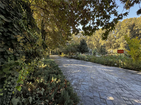 جاده تندرستی دهکده ورزشی