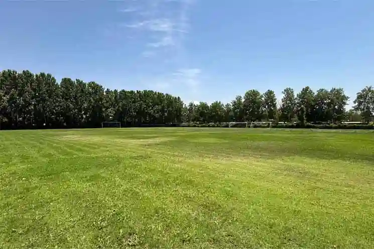 زمین-چمن-دهکده